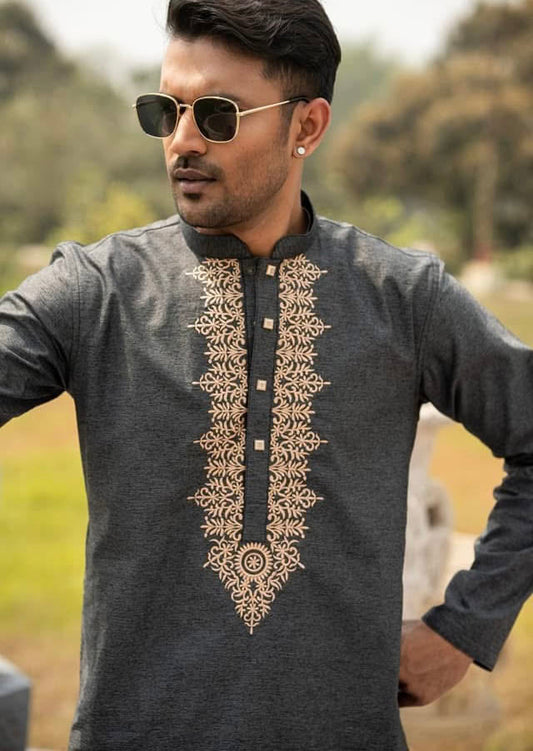 Ash Colour Exclusive   Panjabi